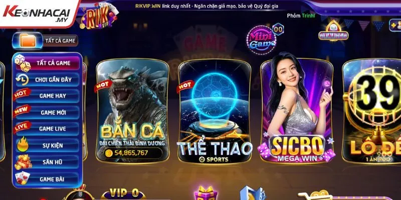 Những sản phẩm RikVip cung cấp hiện nay